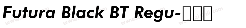 Futura Black BT Regu字体转换